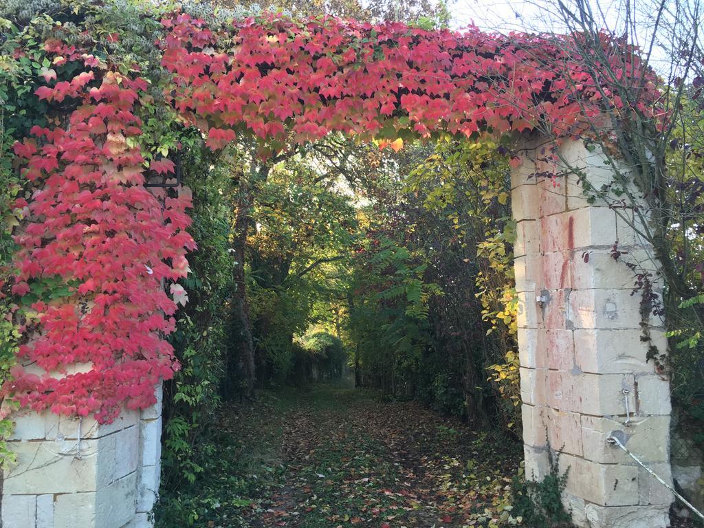 Belle Vue Villa Montsoreau Eksteriør bilde